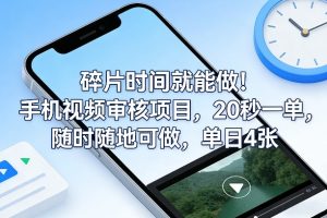 碎片时间就能做!手机视频审核项目,20秒一单,随时随地可做,单日4张+【揭秘】-项目联盟