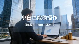 2026新项目，小白也能稳操作，每单盈利1000+上不封顶-项目联盟