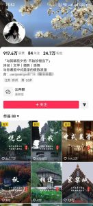 风景类赛道短视频运营教学：诗词文学中式美学，新号养号对标账号定位，DOU+高性价比投放全流程-项目联盟
