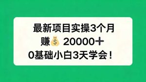 最新项目实操3个月，赚钱20000+，0基础小白3天学会！-项目联盟