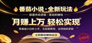 番茄小说5月最新独家玩法,稳定落地实测月入过万!-项目联盟