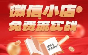 微信小店免费流实战,有货源无货源双模式,从开店到爆单全实操课,小白也能月入1W+-项目联盟