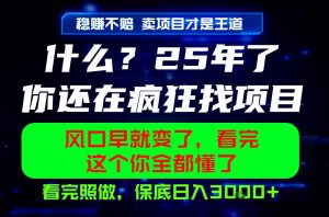 26年,请不要疯狂的找项目做了!卖项目才是真的稳賺不赔,看完照做,保底日入1k+【揭秘】-项目联盟