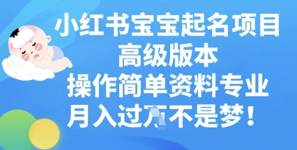 小红书宝宝起名项目高级版本，操作简单，资料专业，月入过W-项目联盟