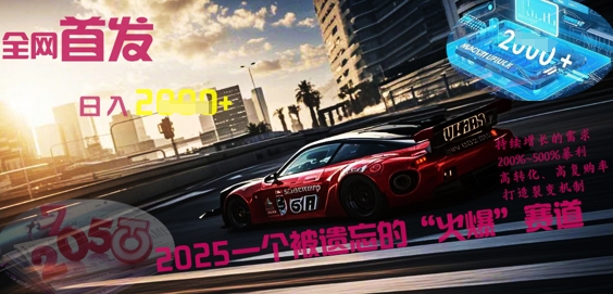 全网首发：2025一个被遗忘的“火爆”赛道轻松日入多张-项目联盟