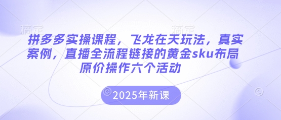 拼多多实操课程，飞龙在天玩法，真实案例，直播全流程链接的黄金sku布局原价操作六个活动-项目联盟