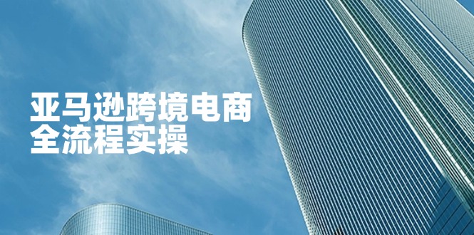 （14252期）亚马逊跨境电商全流程实操，教你从零开始，掌握店铺运营与广告技巧-项目联盟