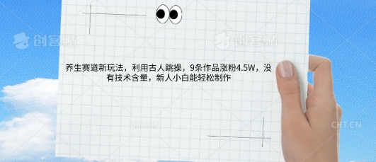 AI养生赛道新玩法，10条作品涨粉5.2W，操作简单，新人小白能轻松制作-项目联盟