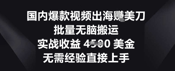 国内爆款视频出海挣美刀,批量无脑搬运,实战收益4.5k,无需经验直接上手-项目联盟