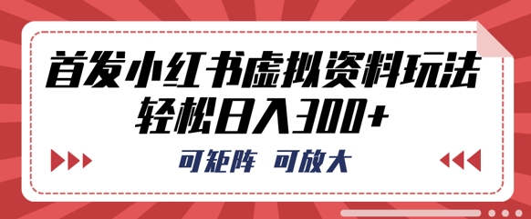 首发小红书虚拟资料玩法，可矩阵，可放大，轻松日入3张-项目联盟