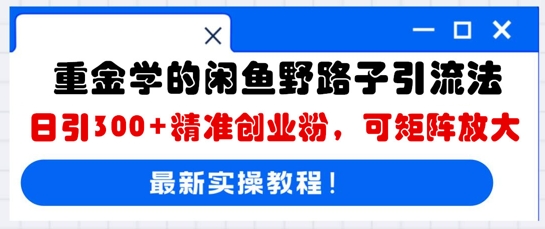 重金学的闲鱼野路子引流法，日引300+精准创业粉，可矩阵放大-项目联盟