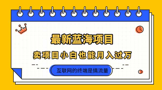(14289期)2025年最新蓝海项目,卖项目小白也能月入过万-项目联盟