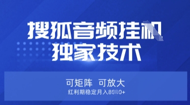 【搜狐音频挂G】独家技术,可矩阵可放大,红利期稳定月入8k【揭秘】-项目联盟