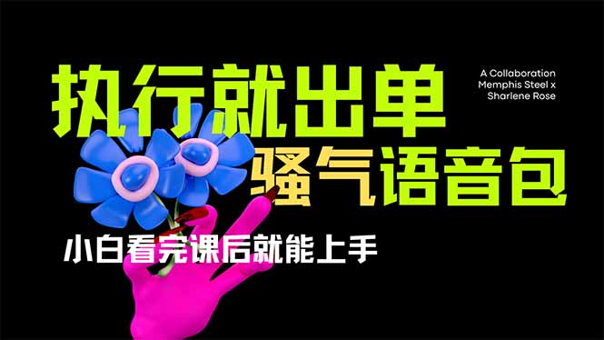 (14170期)爆火全网的开车导航骚气语音包,只要执行就出单,小白看完课程就能实操...-项目联盟