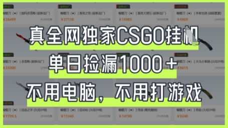 真全网独家CSGO挂G，单日捡漏1k+【揭秘】-项目联盟
